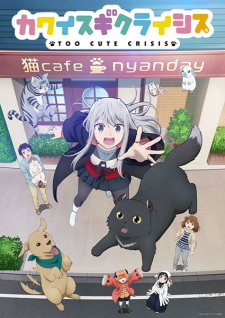 Khủng Hoảng Quá Dễ Thương, Too Cute Crisis